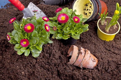 Gardeners Feltham team introducing local garden care services