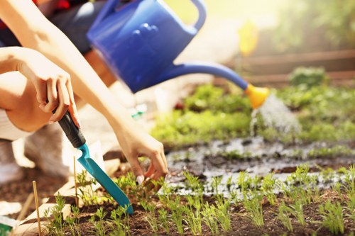 Gardener carrying out a safety check before outdoor work
