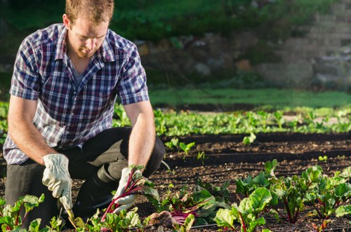 Gardening quote discussion for a front garden in Feltham