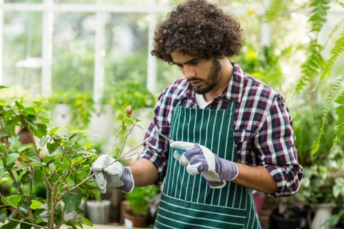 Visual for a structured gardening complaint assessment