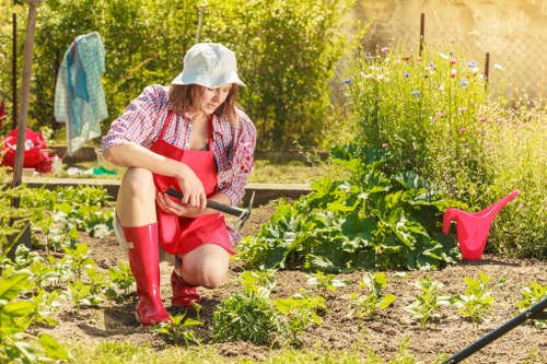 Local gardening service in Feltham improving a property’s kerb appeal