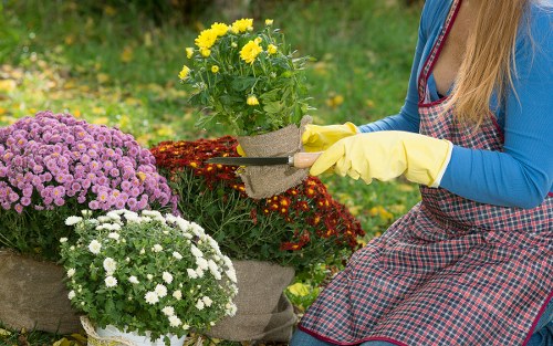 Professional gardener following a health and safety policy