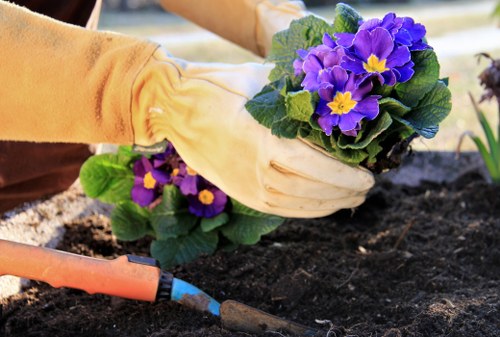 Seasonal hedge maintenance for Feltham gardens