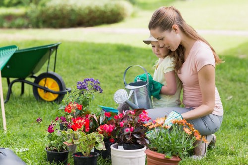 Aeration and lawn treatment for Feltham garden grass