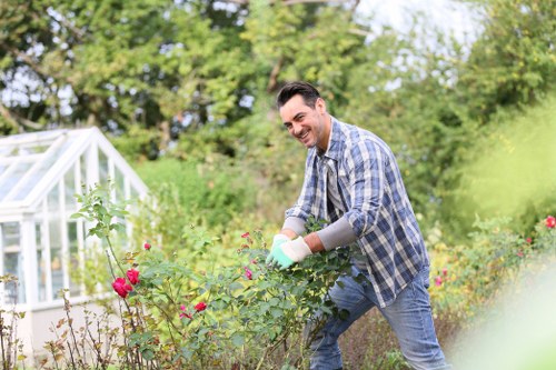 Professional tree pruning and maintenance in Feltham