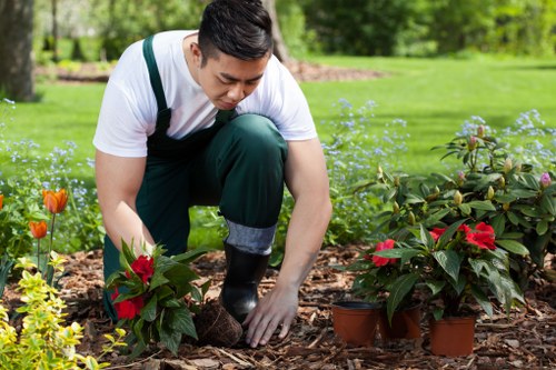 Graphic showing cookie categories for a Feltham gardening service website