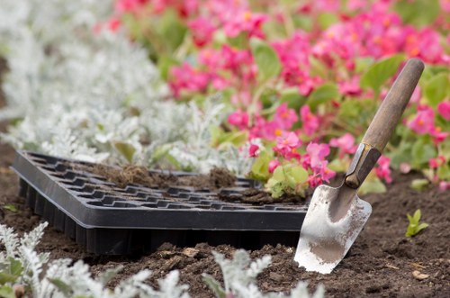 Stump grinding and tree removal services in Feltham