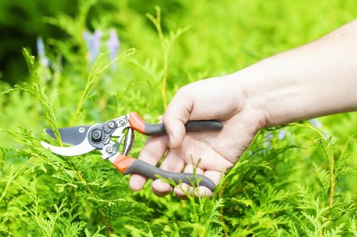 Waste disposal and regulatory compliance for gardening work