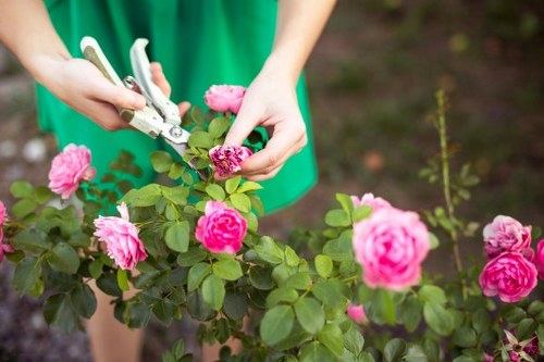 Local garden maintenance job in a residential Feltham property