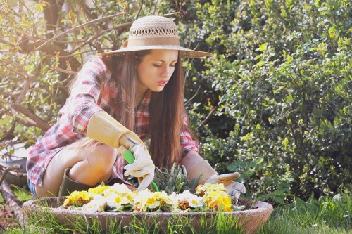 Seasonal garden maintenance in Feltham with lawn care and planting