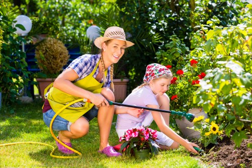 Professional tree surgery improving a Feltham property