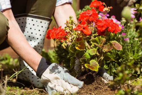 Public liability insurance and safe gardening practices in Feltham