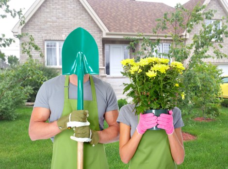 Autumn lawn maintenance in Feltham with leaf removal