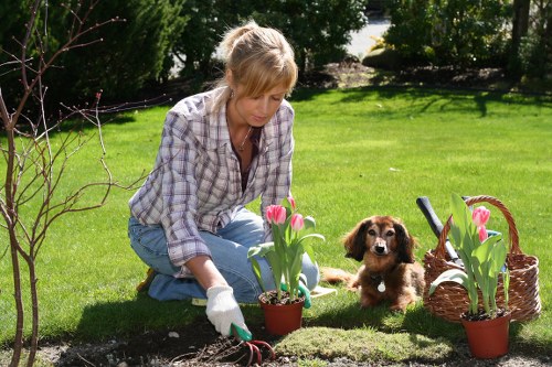 Professional landscape gardening in Feltham with lawn and decorative borders