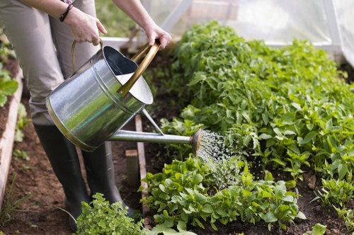Landscape maintenance in a Feltham home garden