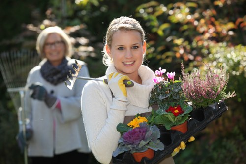 Professional garden upkeep in Feltham including lawn and border care