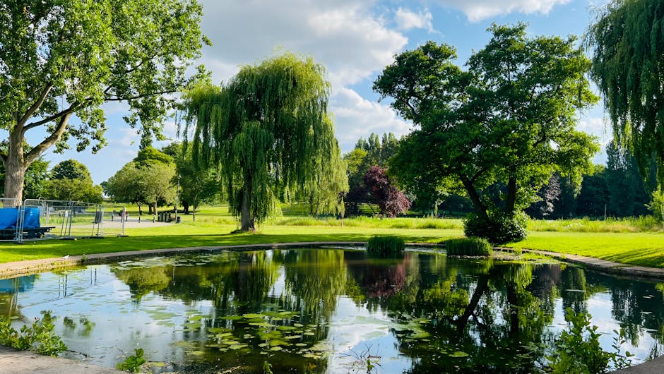 A tranquil garden scene featuring a small pond with water lilies and a reflective surface, surrounded by lush green grass and mature trees including a prominent weeping willow with long, drooping bran