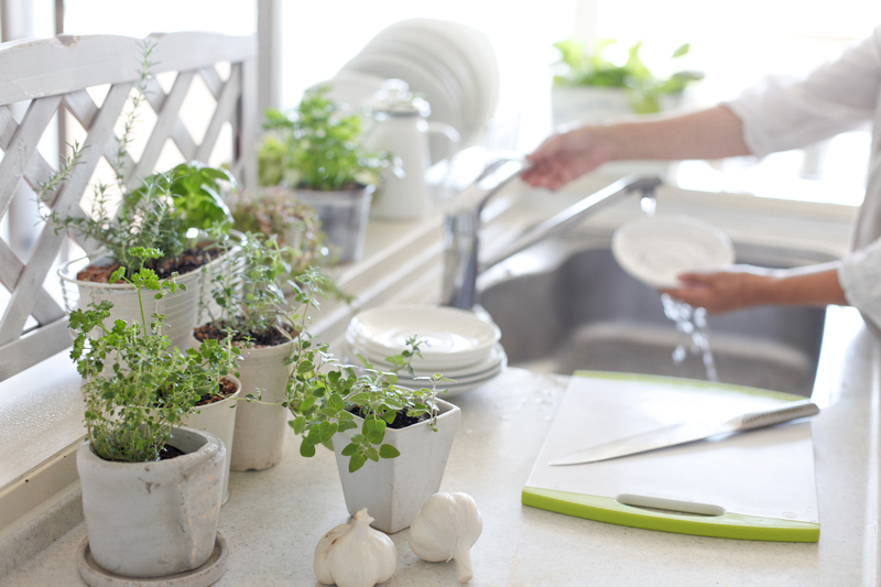 plants plants  / flowering plants